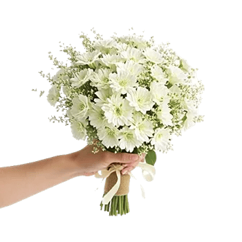 Delicate Petal Cascade