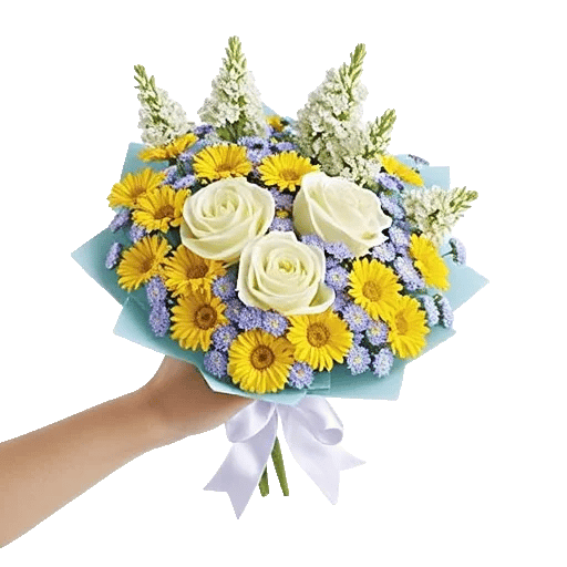 Serene Petal Harmony