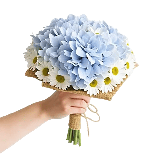 Serene Petal Harmony