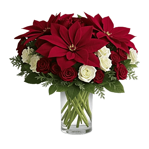 Petal Radiance Bliss