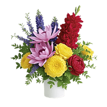 Ivory Blossom Radiance