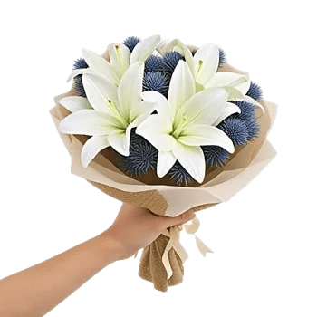 Elegant Calla Lilies