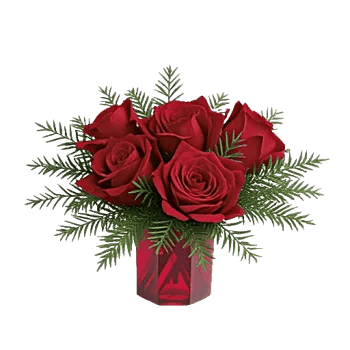 Crimson Rose Elegance