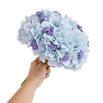 Serene Petal Harmony