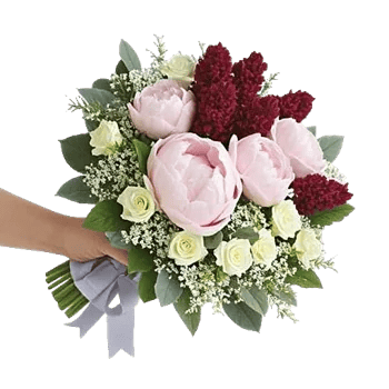 Peony Petal Harmony
