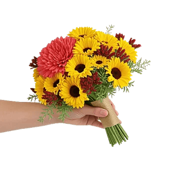 Coral Blossom Harmony