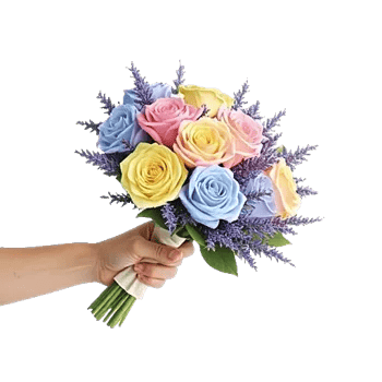 Pastel Pink Roses