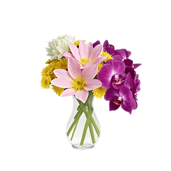 Ivory Blossom Radiance