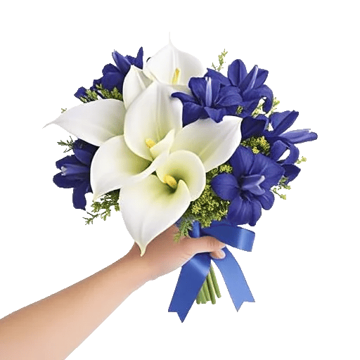 Elegant Calla Lilies