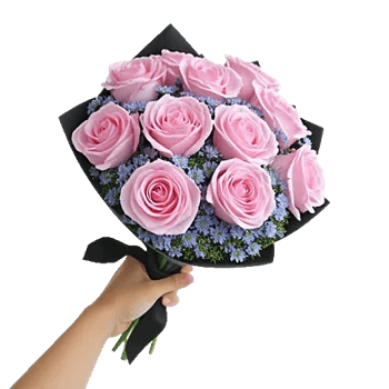 Pastel Pink Roses