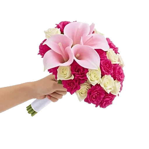 Elegant Calla Lilies