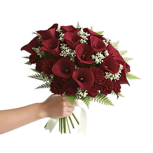 Elegant Calla Lilies