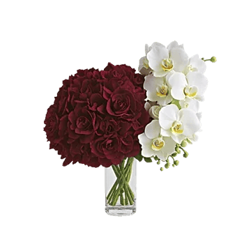 Orchid Bloom Cascade