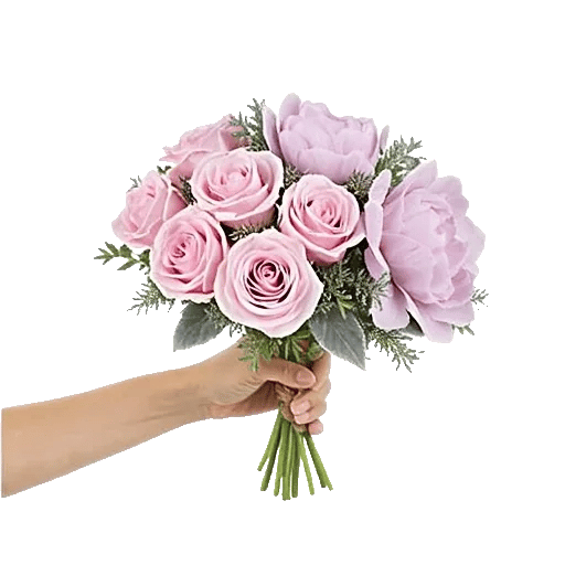 Pastel Pink Roses