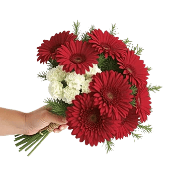 Crimson Rose Elegance