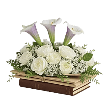Elegant Calla Lilies