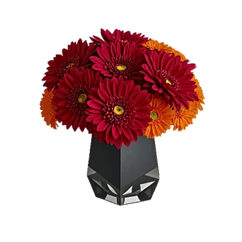 Crimson Blossom Harmony