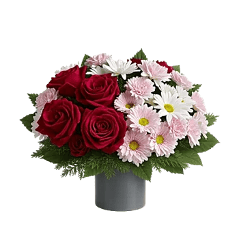 Crimson Rose Elegance