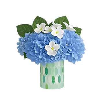 Serene Petal Harmony