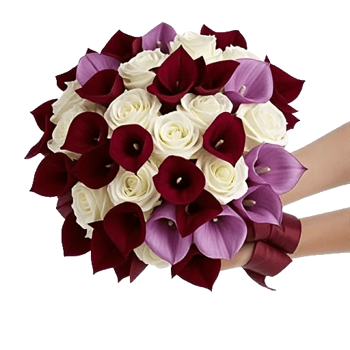 Elegant Calla Lilies