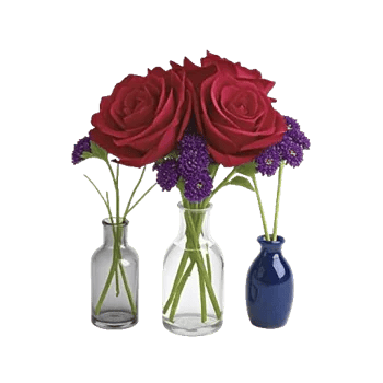 Crimson Rose Elegance