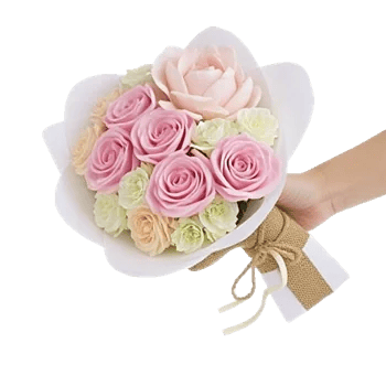 Pastel Pink Roses