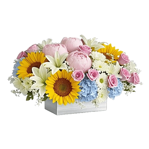 Blooming Serenity Display