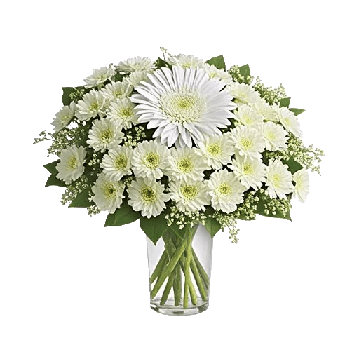 Minimalist White Orchids