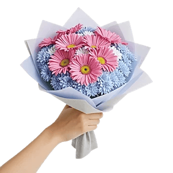 Blossom Petal Serenity