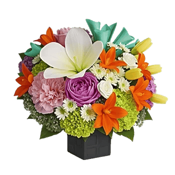 Petal Radiance Bliss