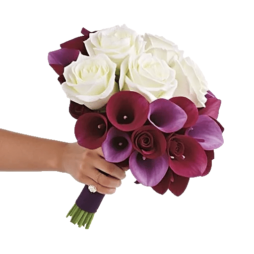 Elegant Calla Lilies