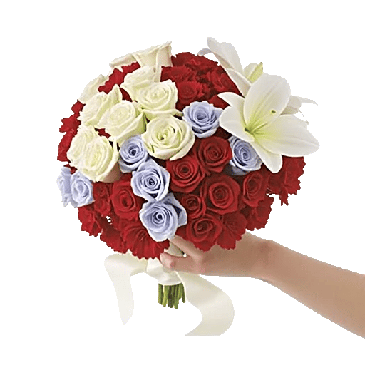 Blushing Rose Symphony