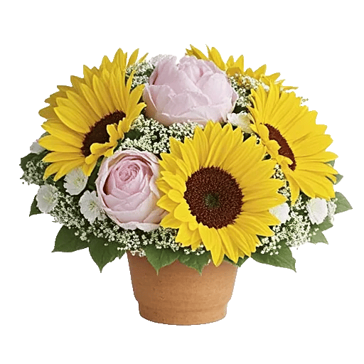 Amber Sunflower Glow