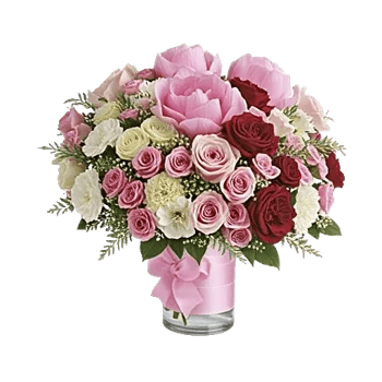 Petal Radiance Bliss