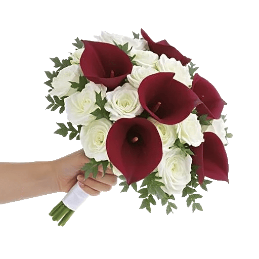 Elegant Calla Lilies