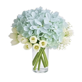 Ivory Blossom Radiance