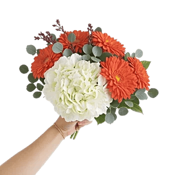 Ivory Blossom Radiance