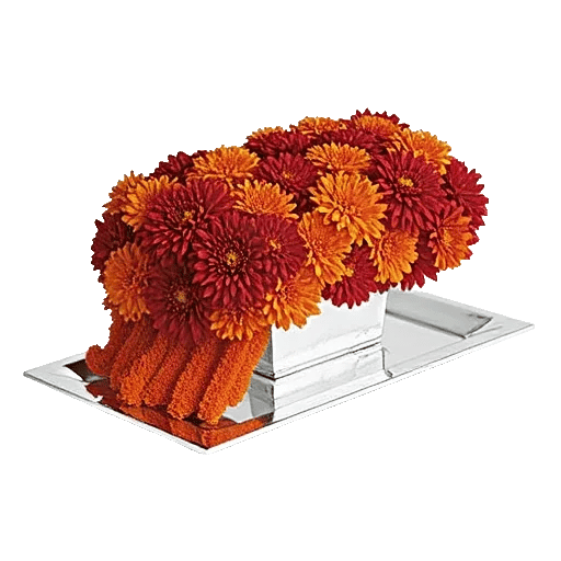 Radiant Bloom Cascade