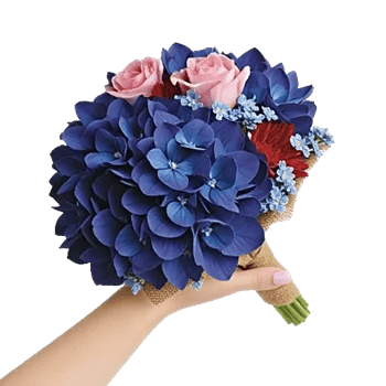 Serene Petal Harmony