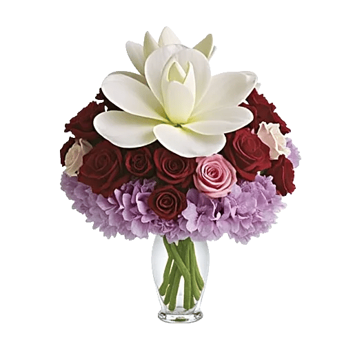 Orchid Bloom Cascade