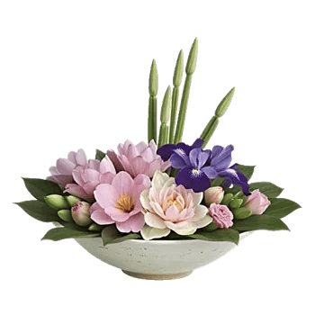 Blossom Petal Serenity