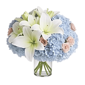 Ivory Blossom Radiance