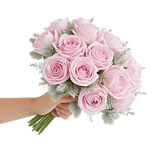 Pastel Pink Roses