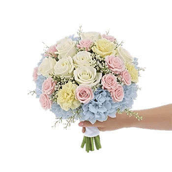 Serene Petal Harmony