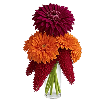 Crimson Blossom Harmony