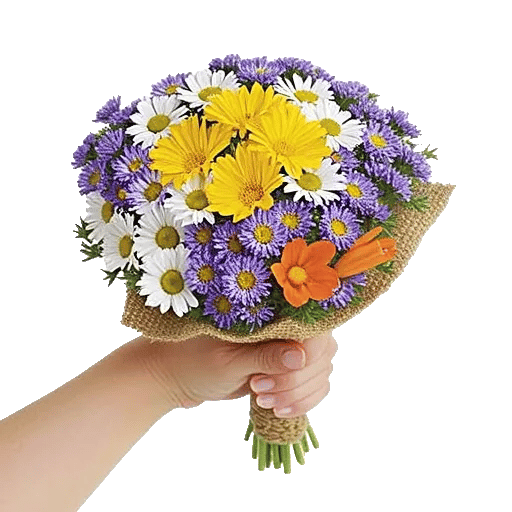 Petal Harmony Bliss