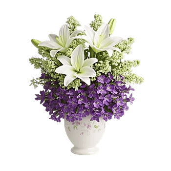 Velvet Tulip Display