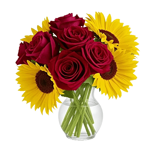 Crimson Blossom Harmony