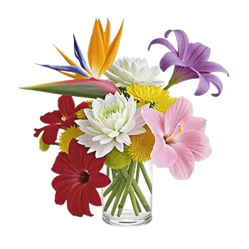 Petal Radiance Bliss