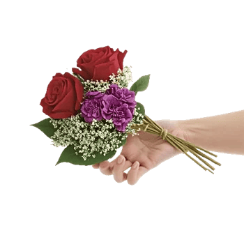 Crimson Rose Elegance